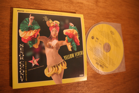 20060824_yellowfever.jpg